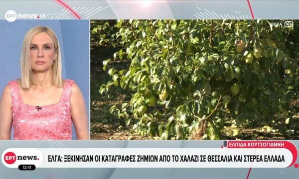 ΕΛΓΑ: Ξεκίνησαν οι καταγραφές ζημιών από το χαλάζι σε Θεσσαλία και Στερεά Ελλάδα