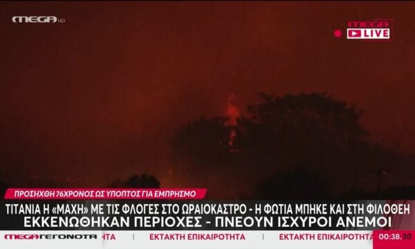 Επικεφ. Πολ. Προστ. Κεντρ. Μακεδονίας: «Η πυρκαγιά έχει περιοριστεί στην περιοχή της Φιλοθέης – Δύο εργοστάσια έχουν καεί»