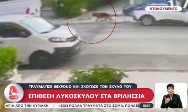 Επίθεση λυκόσκυλου στα Βριλήσσια – Τραυμάτισε 66χρονο και σκότωσε τον σκύλο του