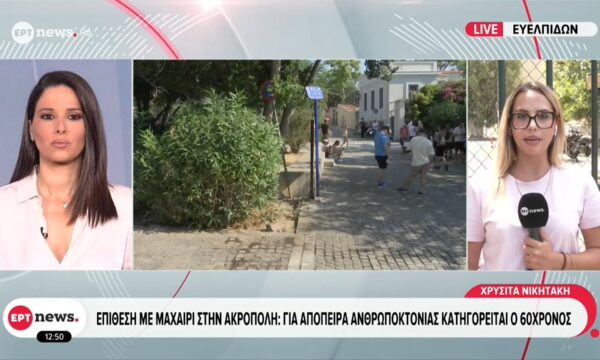 Επίθεση με μαχαίρι στην Ακρόπολη: Ενώπιον του ανακριτή ο 60χρονος