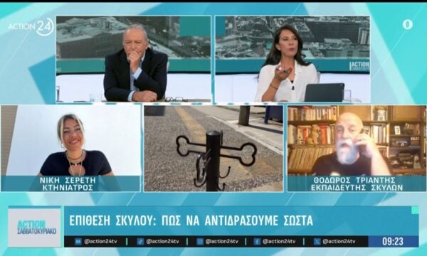 Επίθεση σκύλου: Πως να αντιδράσουμε σωτά