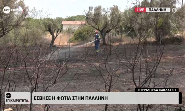 Έσβησε η φωτιά στην Παλλήνη