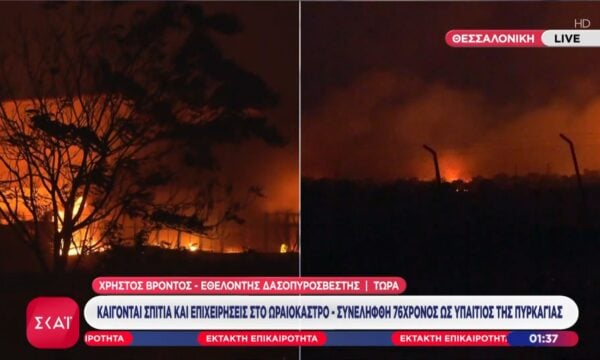 Εθελοντής δασοπυροσβέστης: «Σα τη Λερναία Ύδρα η φωτιά, δεν έχω ξαναδεί κάτι τέτοιο»