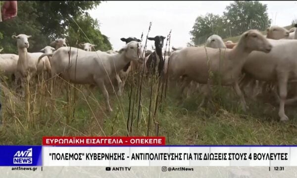Ευρωπαϊκή εισαγγελεία – ΟΠΕΚΕΠΕ: “Πόλεμος” κυβέρνησης – αντιπολίτευσης για τις διώξεις στους 4 βουλευετές