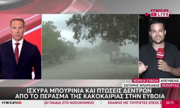 Εύβοια: Πτώσεις δέντρων απο την ισχυρή κακοκαιρία