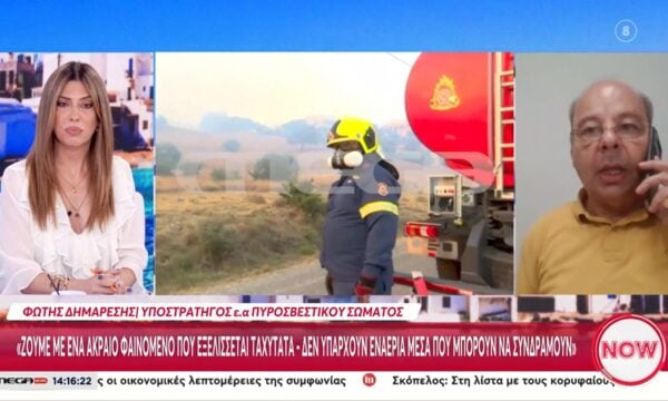 Φ. Δημαρέσης: «Είναι μία μαύρη μέρα για τη χώρα και το πυροσβεστικό σώμα»