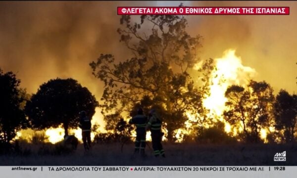 Φλέγεται η Μεσόγειος: Πύρινος εφιάλτης στην Τουρκία, στις φλόγες ο Εθνικός Δρυμός της Ισπανίας