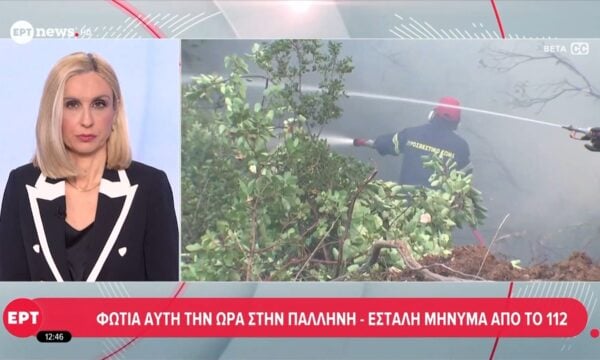Φωτιά αυτή την ώρα στην Παλλήνη – Εστάλη μήνυμα από το 112