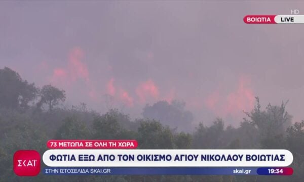 Φωτιά έξω από τον οικισμό του Αγίου Νικολάου Βοιωτίας