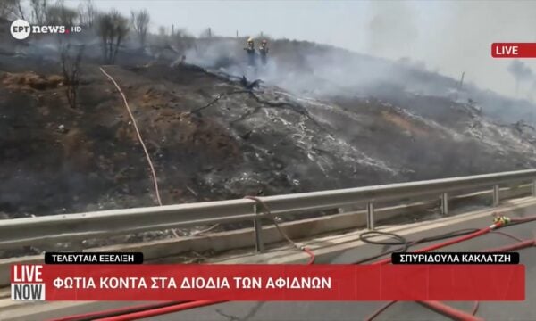 Φωτιά κοντά στα διόδια Αφιδνών
