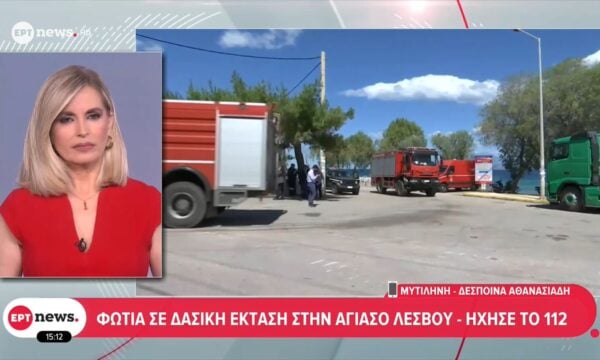 Φωτιά σε δασική έκταση στην Αγιάσο Λέσβου – Ήχησε το 112