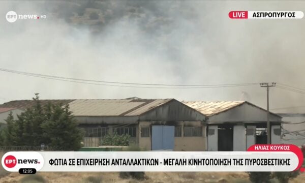 Φωτιά σε επιχείρηση ανταλλακτικών στον Ασπρόπυργο: Μεγάλη κινητοποίηση της Πυροσβεστικής