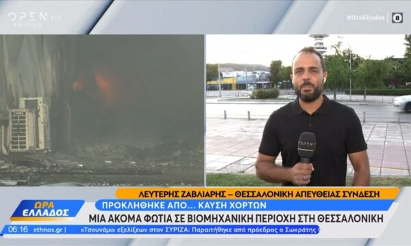 Φωτιά σε βιομηχανική ζωνή στην Θεσσαλονίκη από καύση χόρτων
