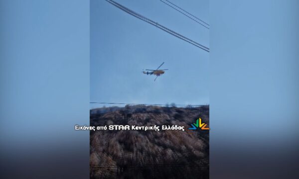 Φωτιά στα όρια στη θέση Ταρσό του δήμου Διστόμου
