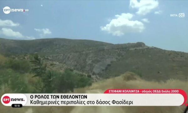 Φωτιά στα Σπάτα: Η φωτιά οριοθετήθηκε σε 45λεπτα χάρη στις πυροσβεστικές δυναμεις
