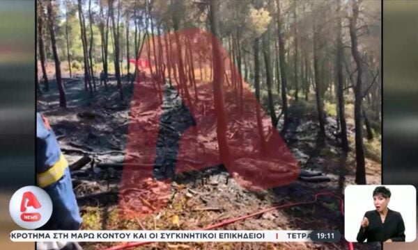 Φωτιά στα Βίλια: Κατηγορούμενοι για εμπρησμό ο εργολάβος και ο χειριστής μηχανήματος που καθάριζαν δασική έκταση