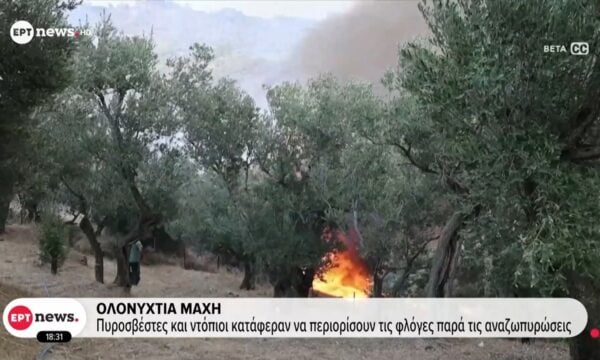 Φωτιά στη Λέσβο: Καταστράφηκαν αποθήκες και ελαιόδεντρα