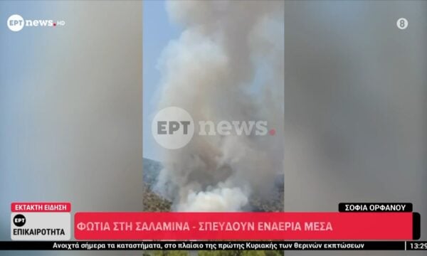 Φωτιά στη Σαλαμίνα: Μικρή αναζωπύρωση στο νότιο τμήμα