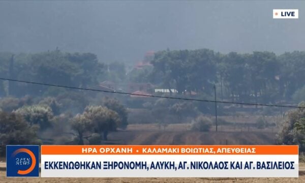 Φωτιά στη Βοιωτία: Δύσκολη η αντιμετώπιση της φωτιάς λόγω των ανέμων»
