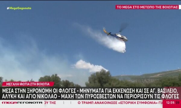 Φωτιά στη Βοιωτία: Σε ζωντανή μετάδοση προσπάθειες ελικοπτέρου να περιορίσει την πυρκαγιά