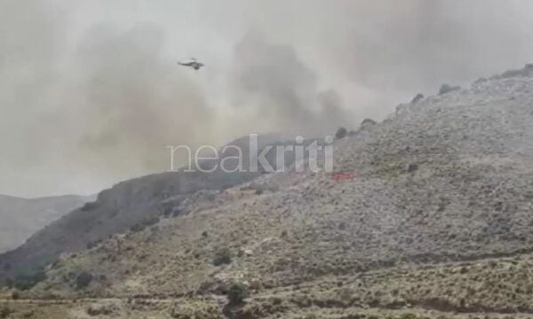 Φωτιά στην Αληθινή: Μεγάλη κινητοποίηση της Πυροσβεστικής – Επιχειρούν εναέρια μέσα, ήχησε το 112