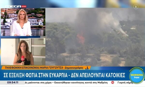 Φωτιά στην Ευκαρπία – Δεν απειλούνται κατοικίες