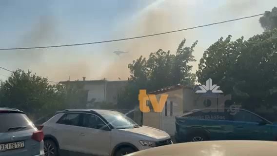 Φωτιά στην Ξηρονομή Βοιωτίας: Επικίνδυνες ρίψεις από εναέρια μέσα λόγω των ισχυρών ανέμων.