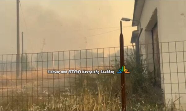 Φωτιά στην Ξηρονομή Βοιωτίας. Μεγάλη κινητοποίηση από την Πυροσβεστική Υπηρεσία