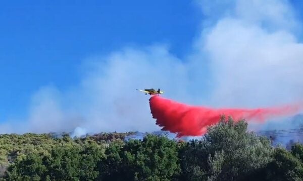 Φωτιά στην Οινόη: Χρήση αντιπύρ από την Πυροσβεστική