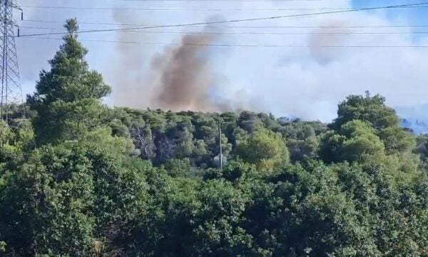 Φωτιά στην Οινόη: Πυκνοί καπνοί κατά μήκος ενός μεγάλου πύρινου μετώπου