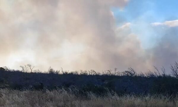 Φωτιά στην Οινόη: Συνεχείς ρίψεις νερού από τα εναέρια μέσα