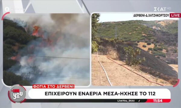 Φωτιά στο Δερβένι | Επιχειρούν εναέρια μέσα – Ήχησε το 112