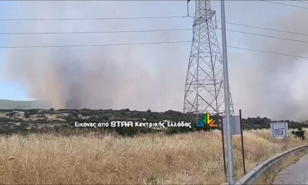 Φωτιά στο Καλαπόδι Φθιώτιδας