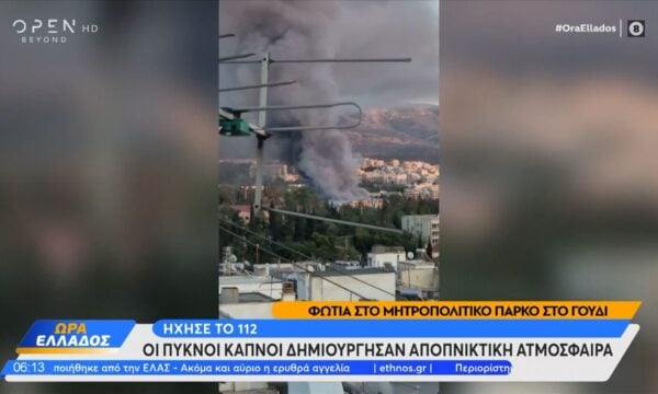 Φωτιά στο Μητροπολιτικό Πάρκο στο Γουδή