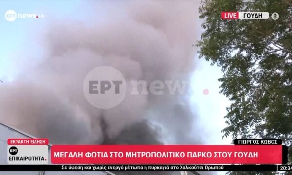 Φωτιά στο Μητροπολιτικό Πάρκο στου Γουδή