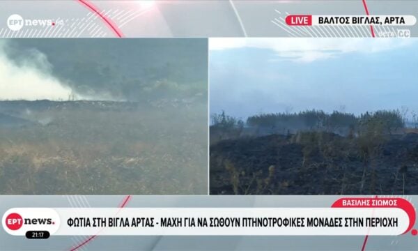 Φωτιά στον βάλτο της Βίγλας στην Άρτα – Επιχειρούν έξι εναέρια μέσα