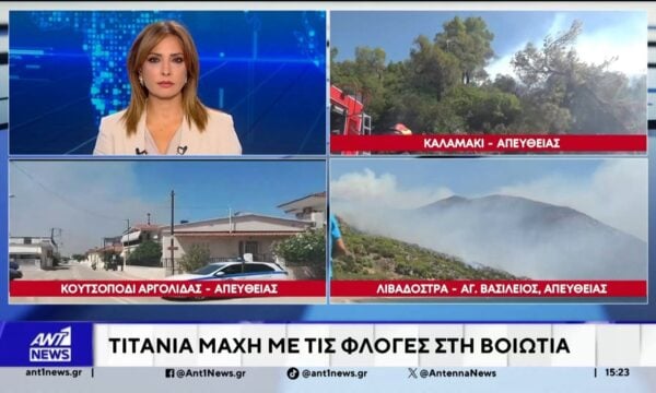 Φωτιές στη Βοιωτία και την Αργολίδα: Δύσκολη μάχη με τις φλόγες δίνουν πυροσβέστες, αλλά και κάτοικοι