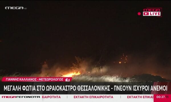 Γ. Καλλιάνος για φωτιά στο Ωραιόκαστρο: «Από αύριο το μεσημέρι προς απόγευμα θα εξασθενήσουν οι άνεμοι»