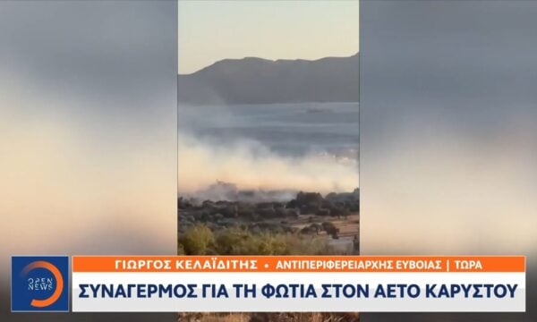 Γ. Κελαϊδίτης, Αντιπεριφερειάρχης Ευβοίας: «Το ενεργό μέτωπο έχει περιοριστεί σε καντηλάκια»