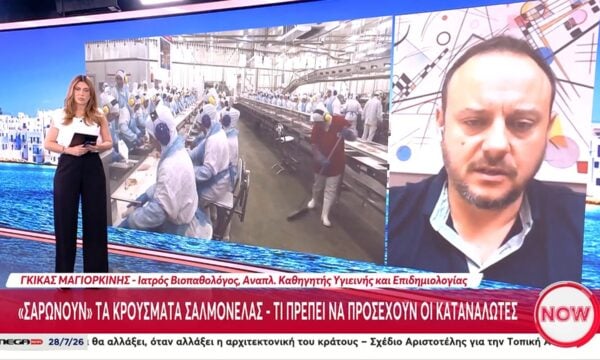 Γ. Μαγιορκίνης: «Οι θερμοκρασίες του καλοκαιριού ευνοούν την ανάπτυξη της σαλμονέλας»