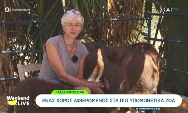 Γαϊδουροχώρα | Ένας χώρος αφιερωμένος στα πιο υπομονετικά ζώα