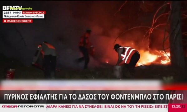 Γαλλία: Χιλιάδες στρέμματα έγιναν στάχτη στο δάσος Φοντενμπλό