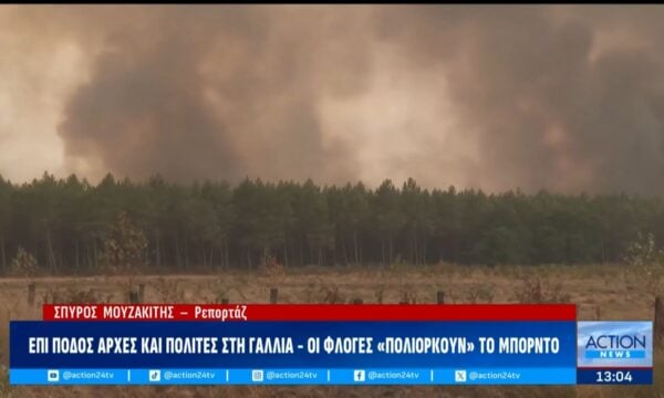 Γαλλία: «Εφιάλτης» από τη φωτιά και ακραίες θερμοκρασίες – Άλογα και ελάφια τρέχουν να σωθούν