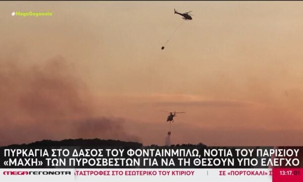 Γαλλία: Πυρκαγιά στο δάσος του Φονταινεμπλώ, νότια του Παρισιού