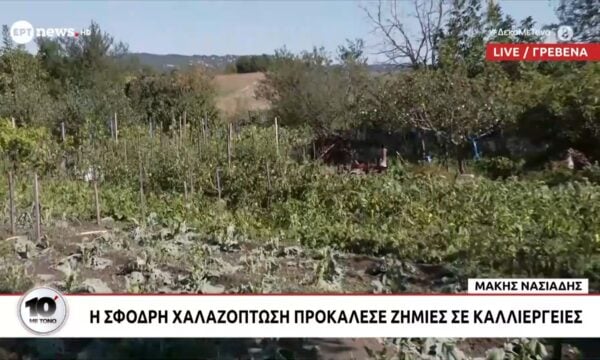 Γρεβενά: Η σφοδρή χλαζόπτωση προκάλεσε ζημιές σε καλλιέργειες