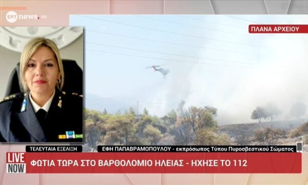 Η εκπρόσωπος Τύπου ΠΣ Έφη Παπαβραμοπούλου στο ΕΡΤnews για τις φωτιές σε Επίδαυρο και Βαρθολομιό