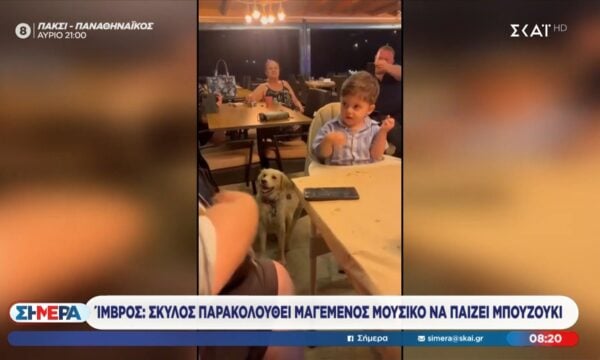 Ίμβρος – Σκυλάκι παρακολουθεί μαγεμένο μουσικό να παίζει μπουζούκι