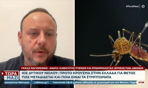 Ιός Δυτικού Νείλου: Το πρώτο κρούσμα για το φετινό καλοκαίρι στην Ελλάδα