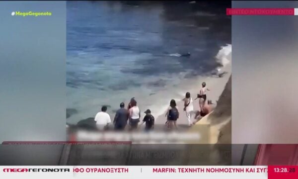 ΗΠΑ: Καρέ καρέ η στιγμή που δύο αυτοκίνητα καρφώθηκαν με μεγάλη ταχύτητα σε κτίριο