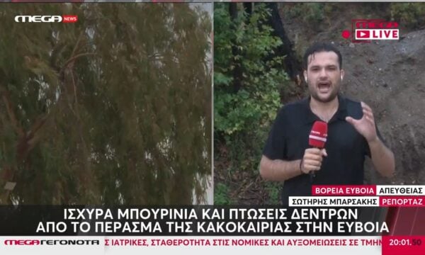 Ισχυρά μπουρίνια και πτώσεις δέντρων από το πέρασμα της κακοκαιρίας στην Εύβοια